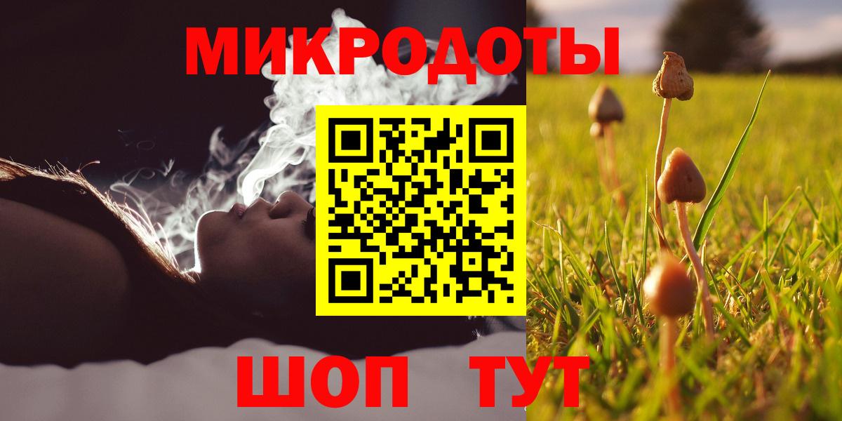 Галлюциногенные грибы Psilocybe  Вход с VPN  Красноуфимск 